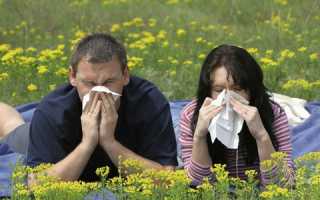 Чем правильно лечить аллергический насморк
