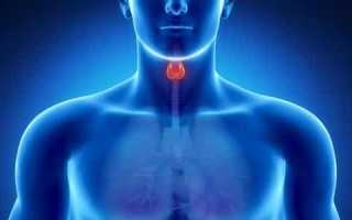 Как можно проверить щитовидную железу?